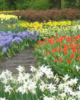 Dream Gardens