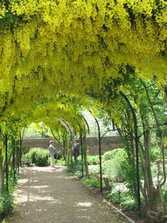 Trellises Take Your Garden to New Heights
