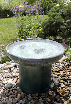 Water Features For Birds Gardener S Journal