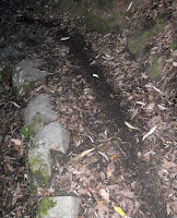 Skidmark on Fern Glade Track - 30 Jan 2007