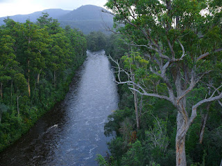 Huon River from the end of the Airwalk cantilever - 5 May 2007