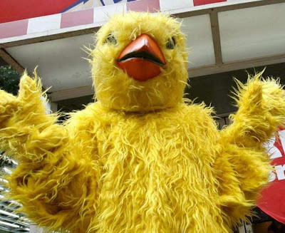chicas sexo pollito blanco chicas sexo pollito blanco