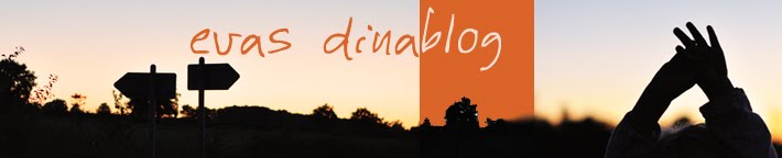 evas dinablog