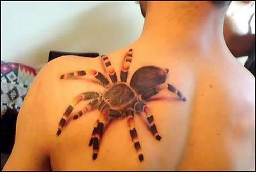 Labels: 3D Tattoo Spider