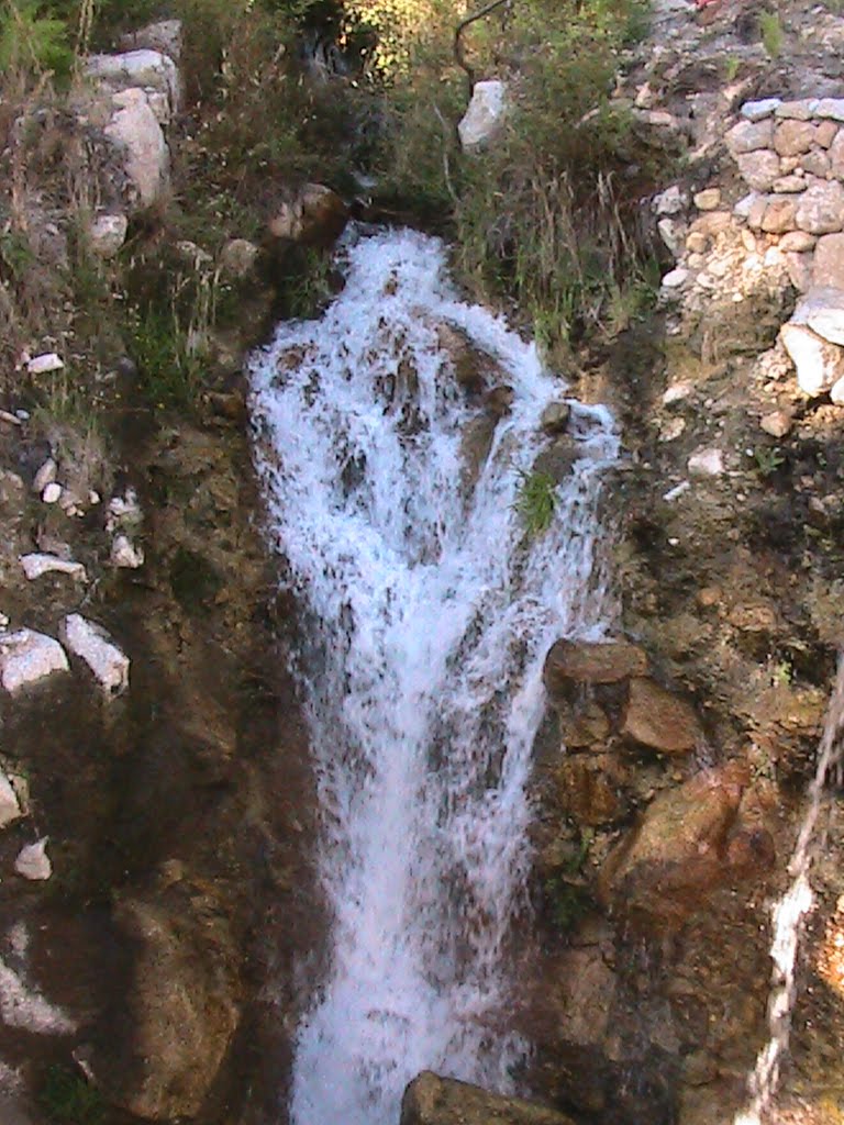 [IMG_3514.JPG]