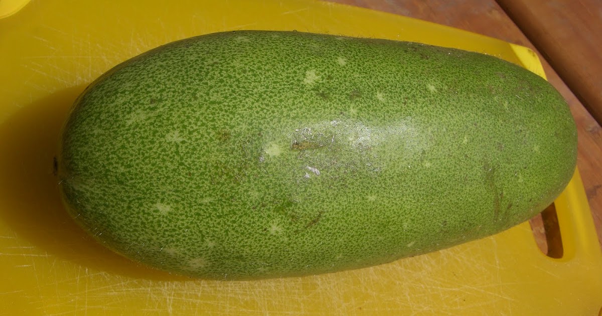 The Fruitectives Fuzzy Melon