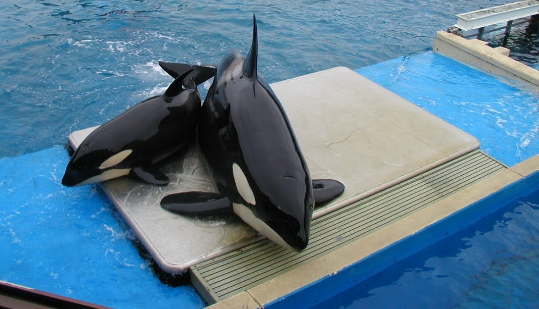 places: Top 25 Most Tourist Destination in America