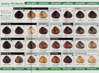 Bigen Fragrance Hair Color Chart Cautions: This product includes NO ENGLISH