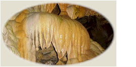 EXPLORE THE UNDERGROUND HOLLOWS OF NC