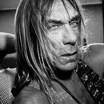 And stooges the discography torrent iggy pop (Proto