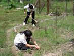 Murid-murid bergotong-royong membersihkan halaman sekolah