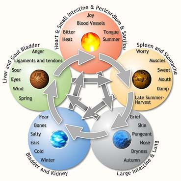 The Five Elements