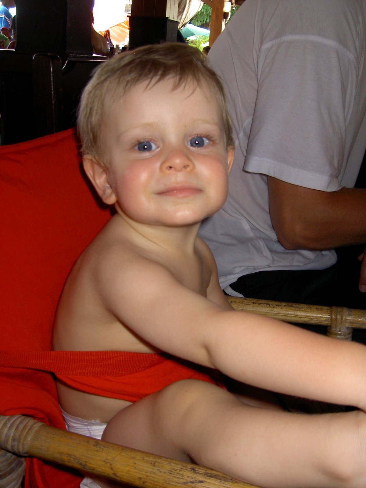 [PICT0082.JPG]