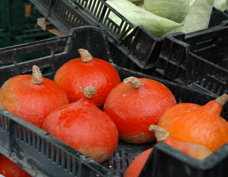 [pumpa]