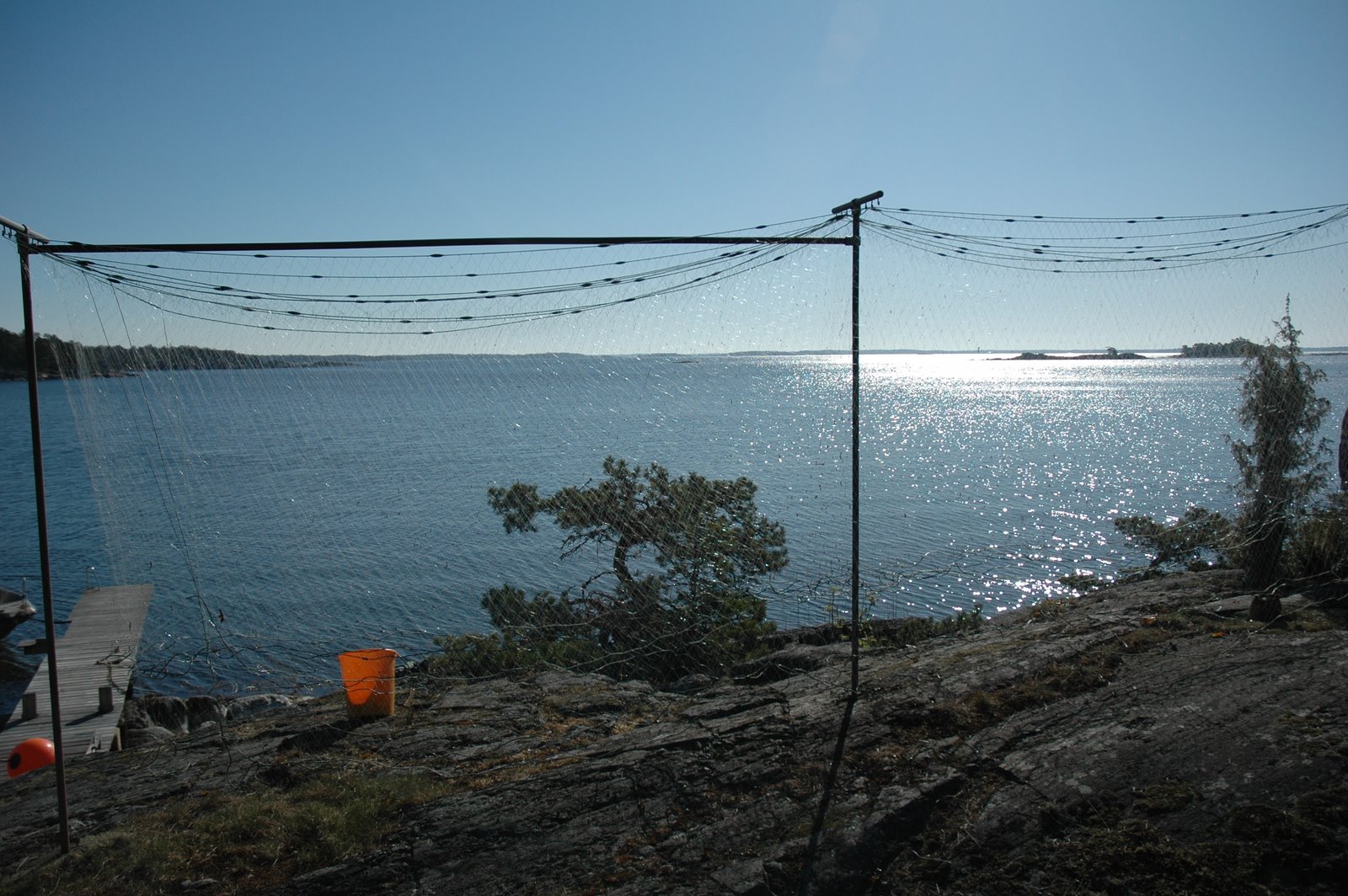 [DSC_0046.JPG]