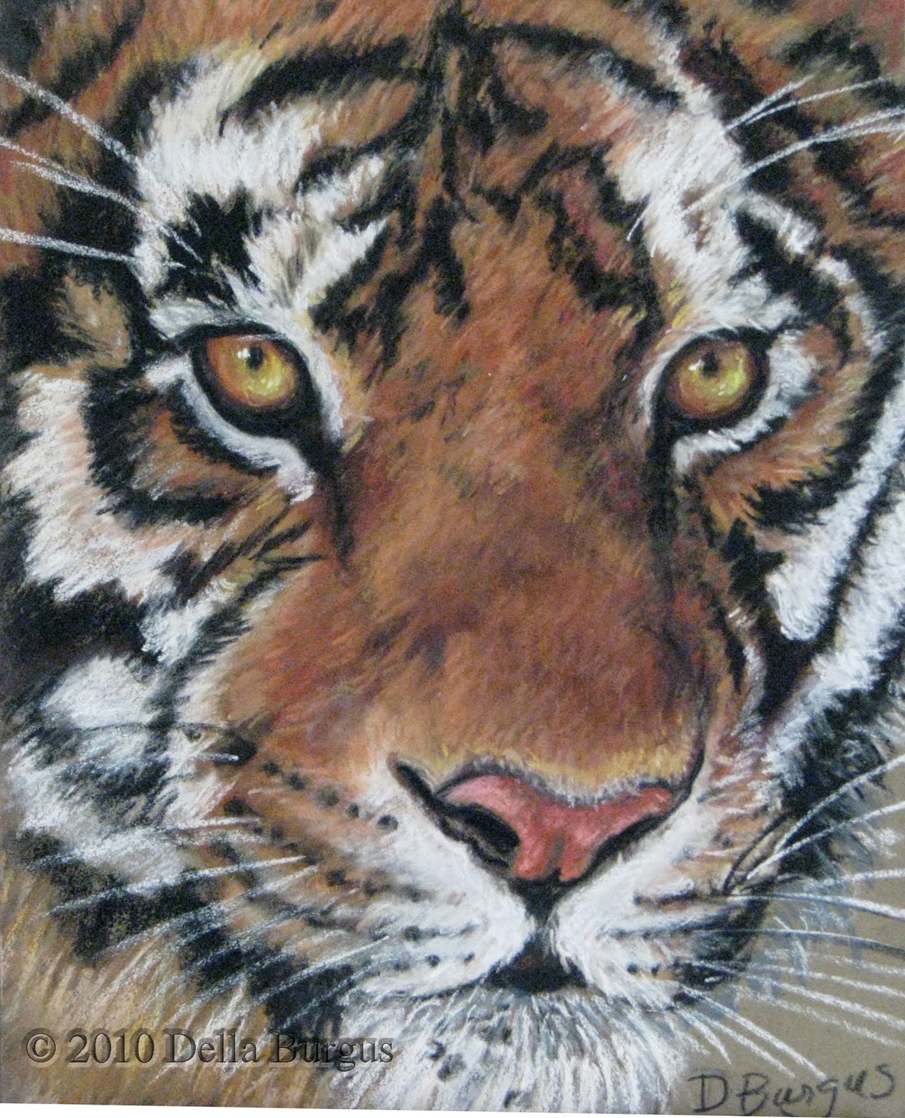 http://4.bp.blogspot.com/_gu29c8DbubA/TBaAeB8nT0I/AAAAAAAAAtA/sqb3zOPYKZU/s1600/tiger%2Beyes.jpg