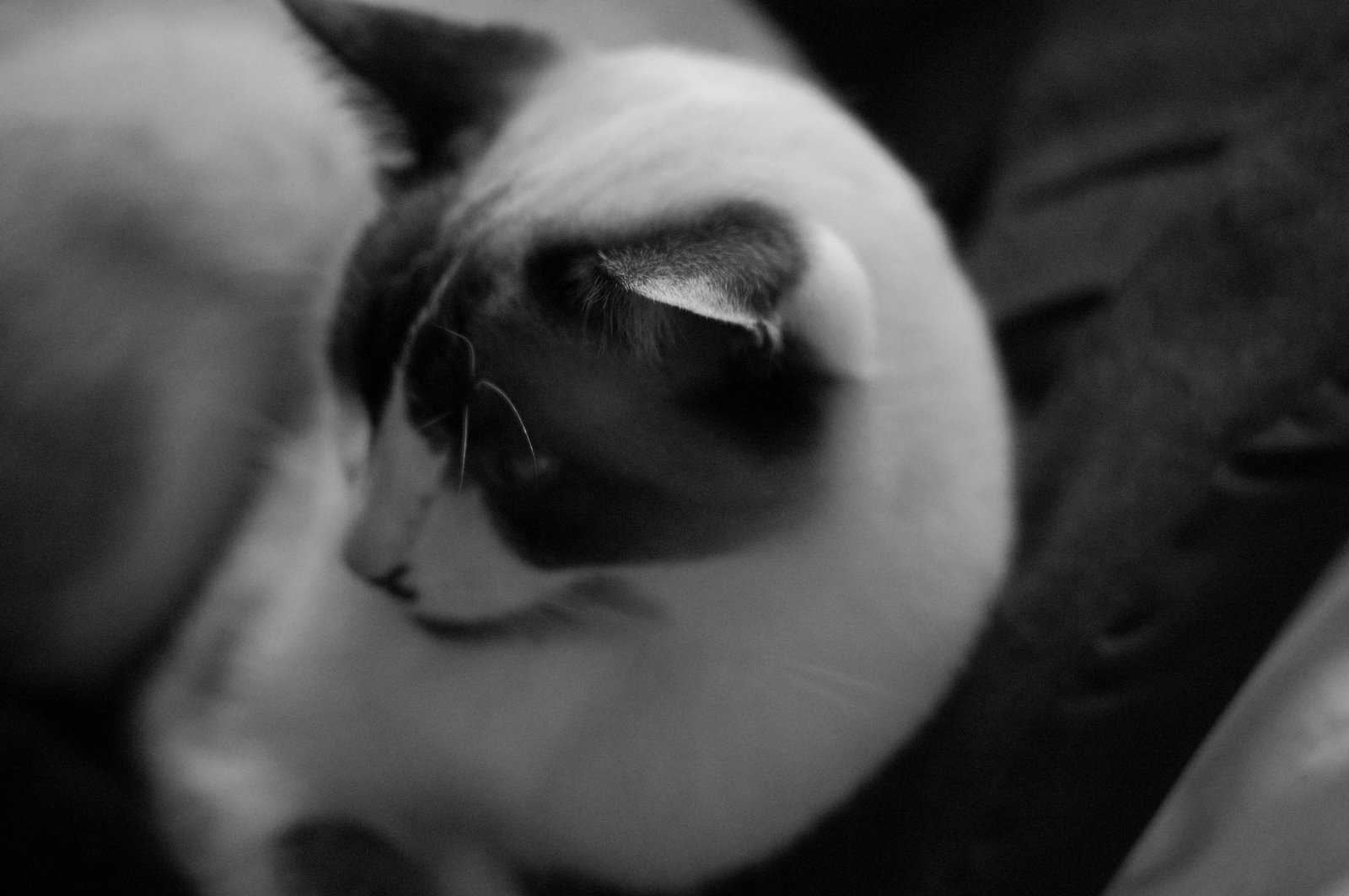 [DSC_0516.JPG]