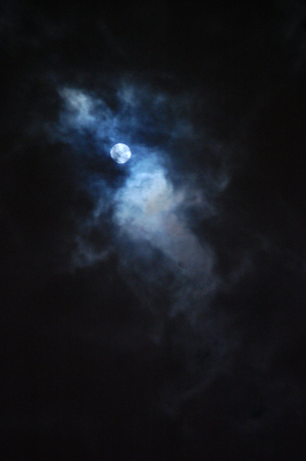 [DSC_0431.JPG]