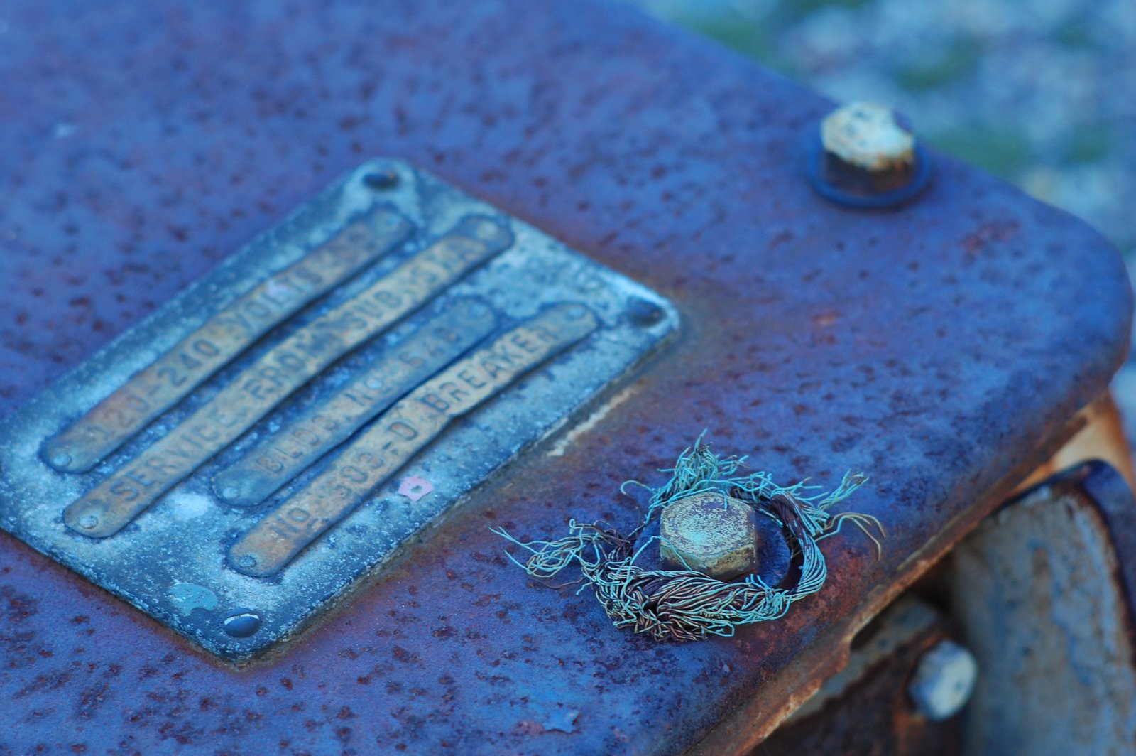 [DSC_0343.JPG]