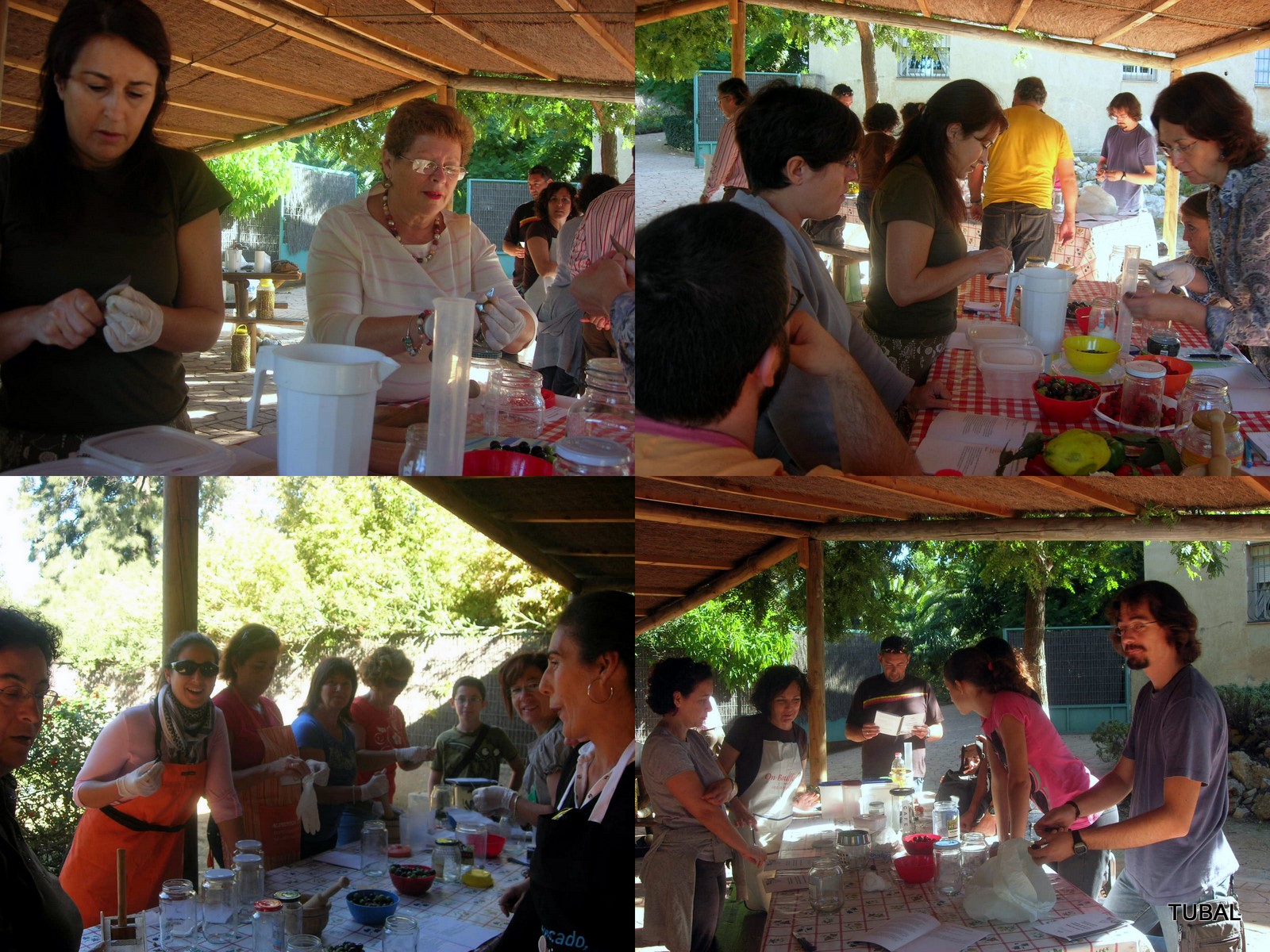 [TALLER+FRUTOS+SILVESTRES3.JPG]