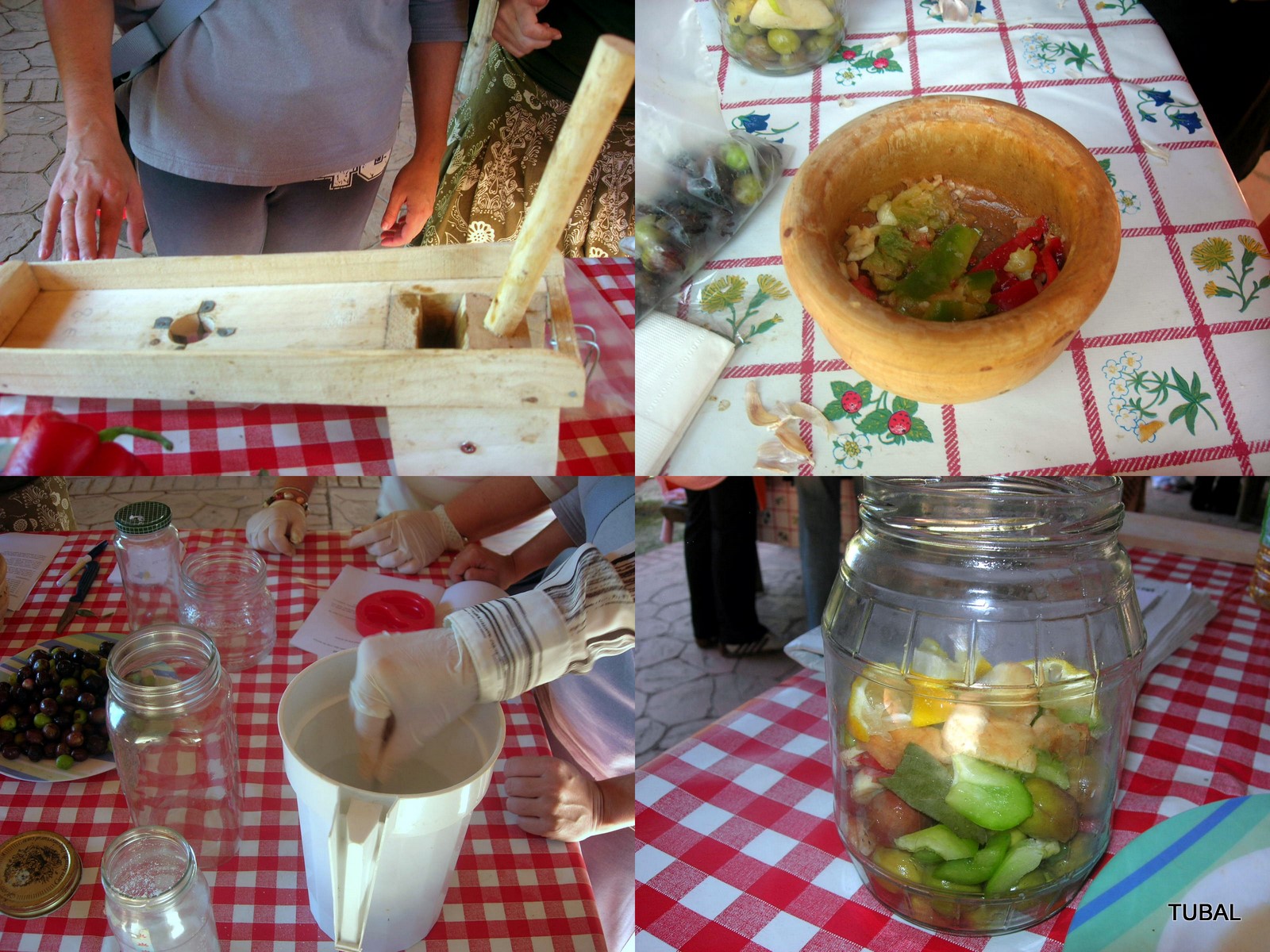 [TALLER+FRUTOS+SILVESTRES2.JPG]