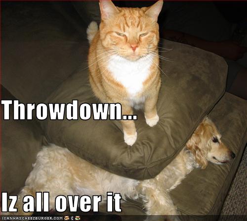 [throwdown+cat.jpg]