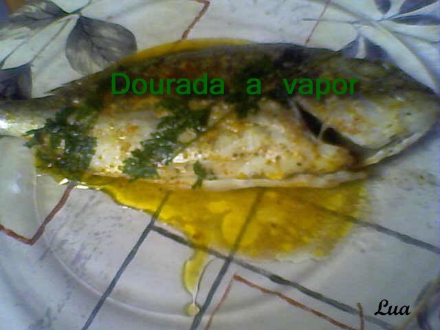 [DOURADA+A+VAPOR+2.jpg]