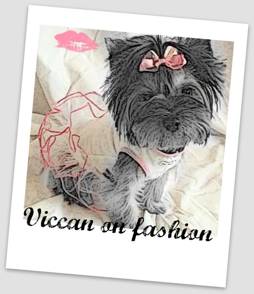 Viccis On Fashion