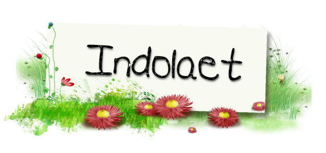 indolaet's Scrap