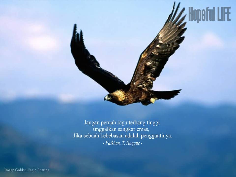 Nyanyian Suara Hati …