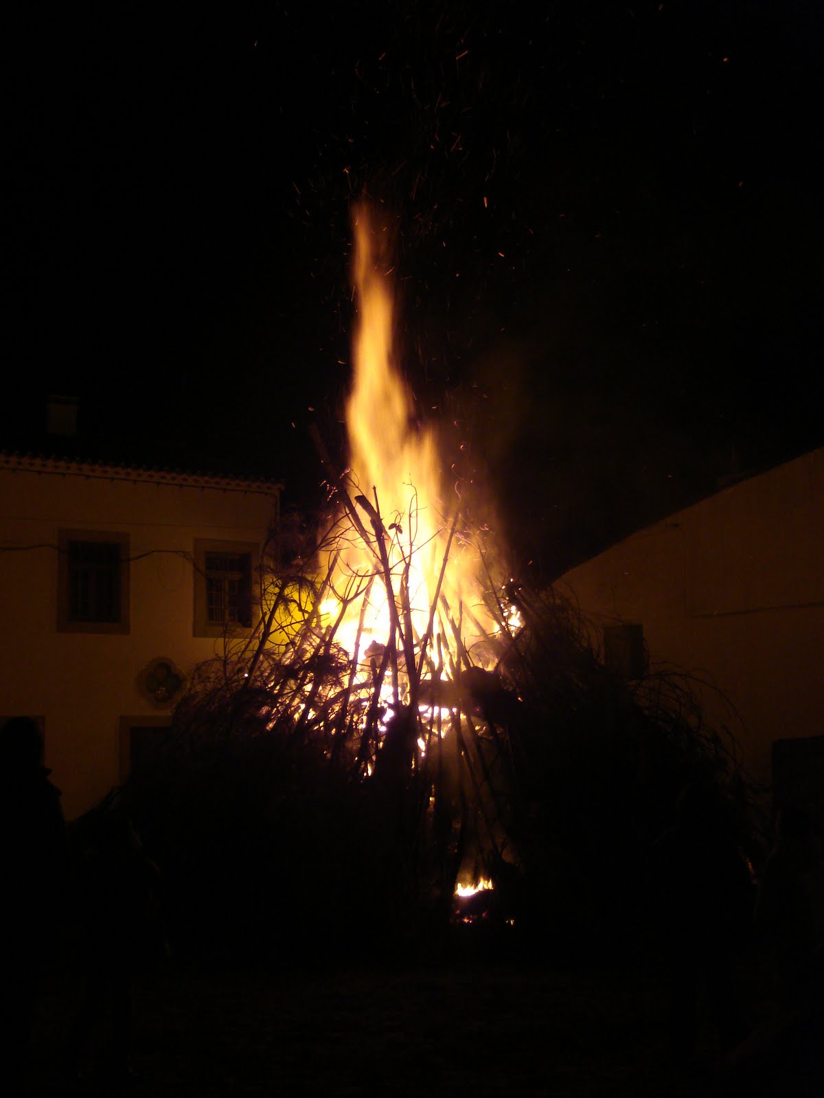 [DSC07939.JPG]