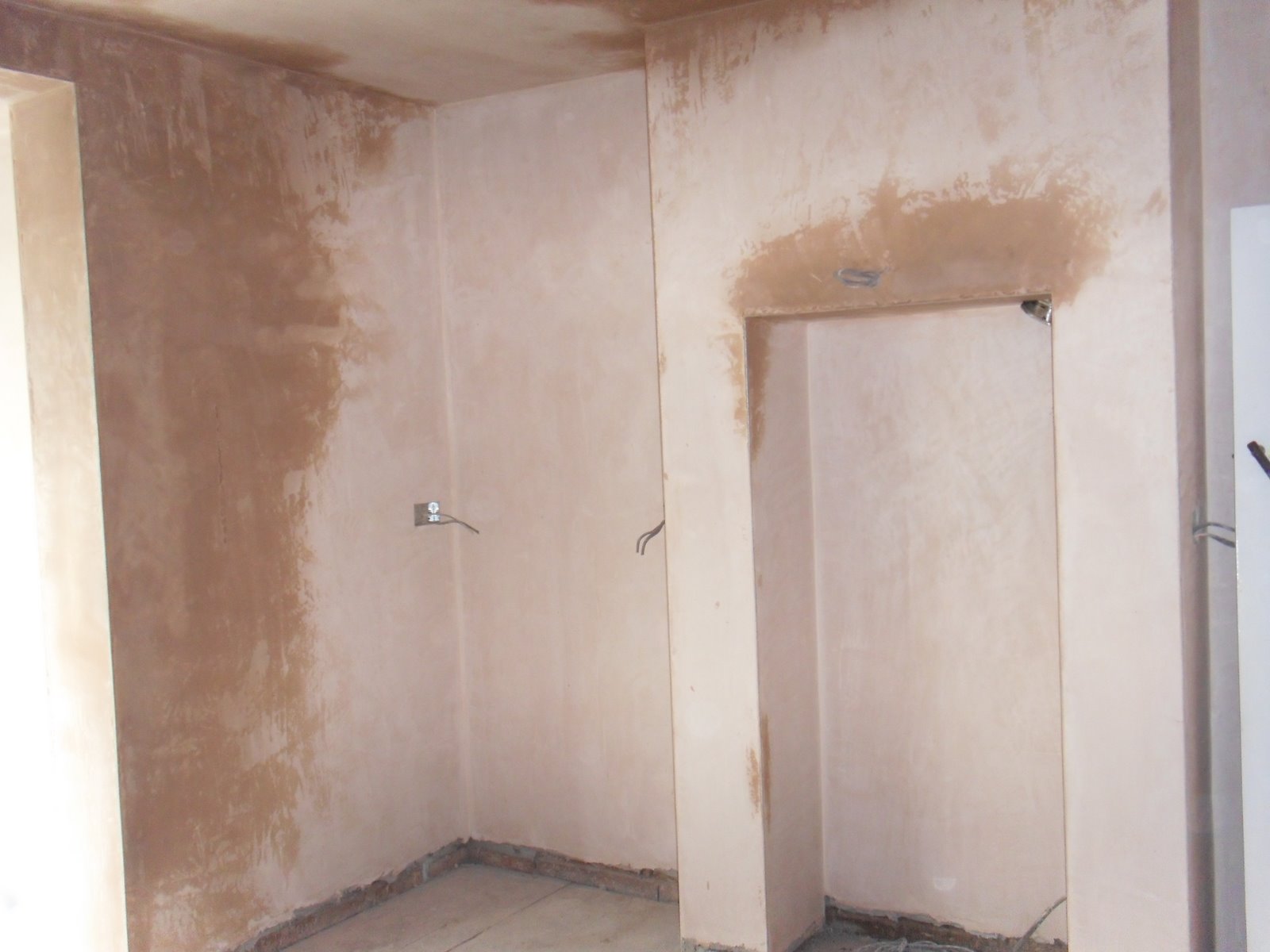 SDC13016.JPG