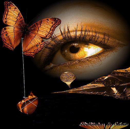 [BolhinhasOlhoNaBorboleta.jpg]