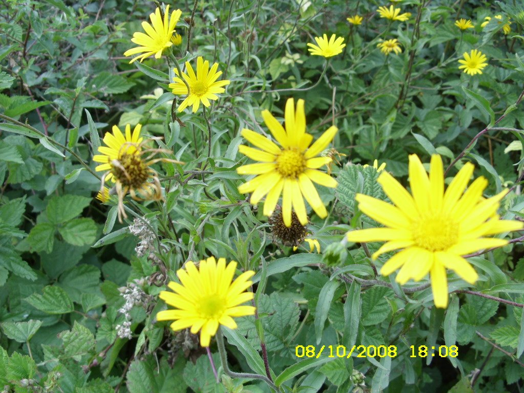 [aug8-9,2008024.JPG]