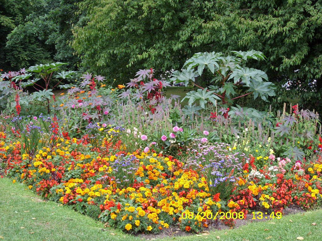 [Aug.20,2008-regensburg154_edited.JPG]