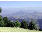 travelrainbow-kufri-shimla