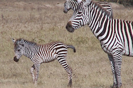 Nakuru