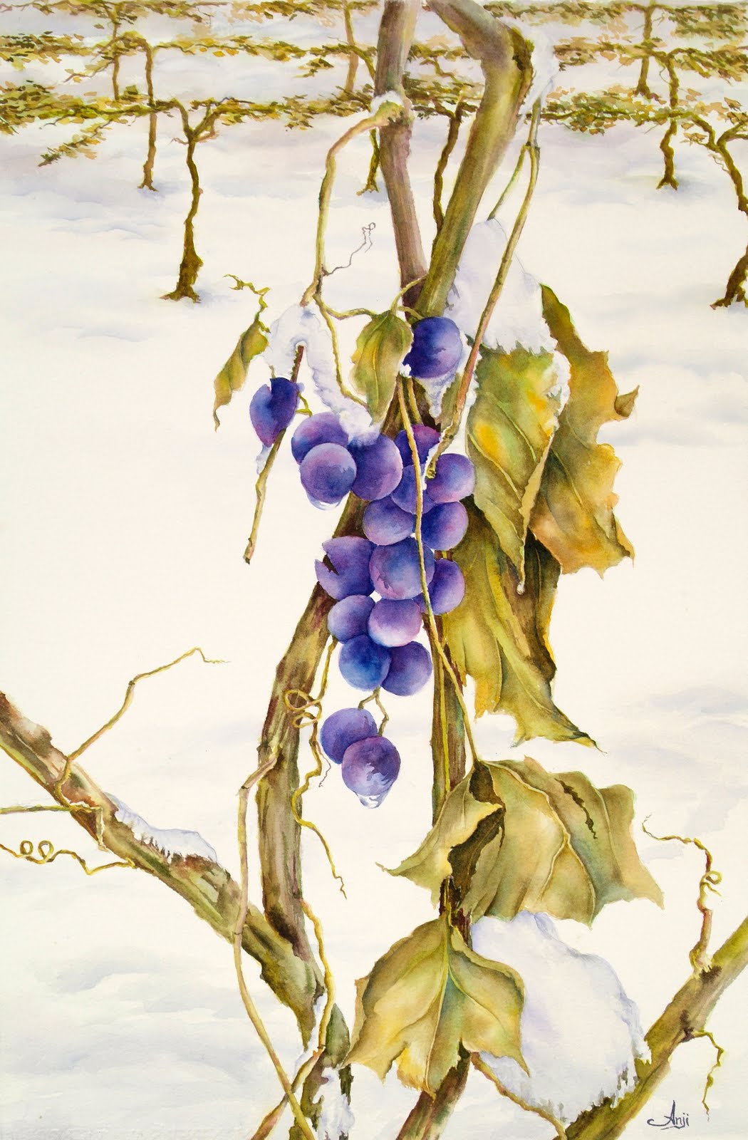 [Ice+wine.JPG]