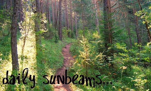 Daily Sunbeams