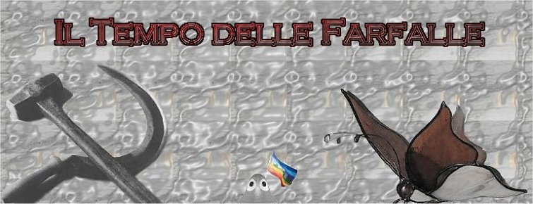 il tempo delle farfalle