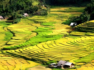 Vietnam Travel