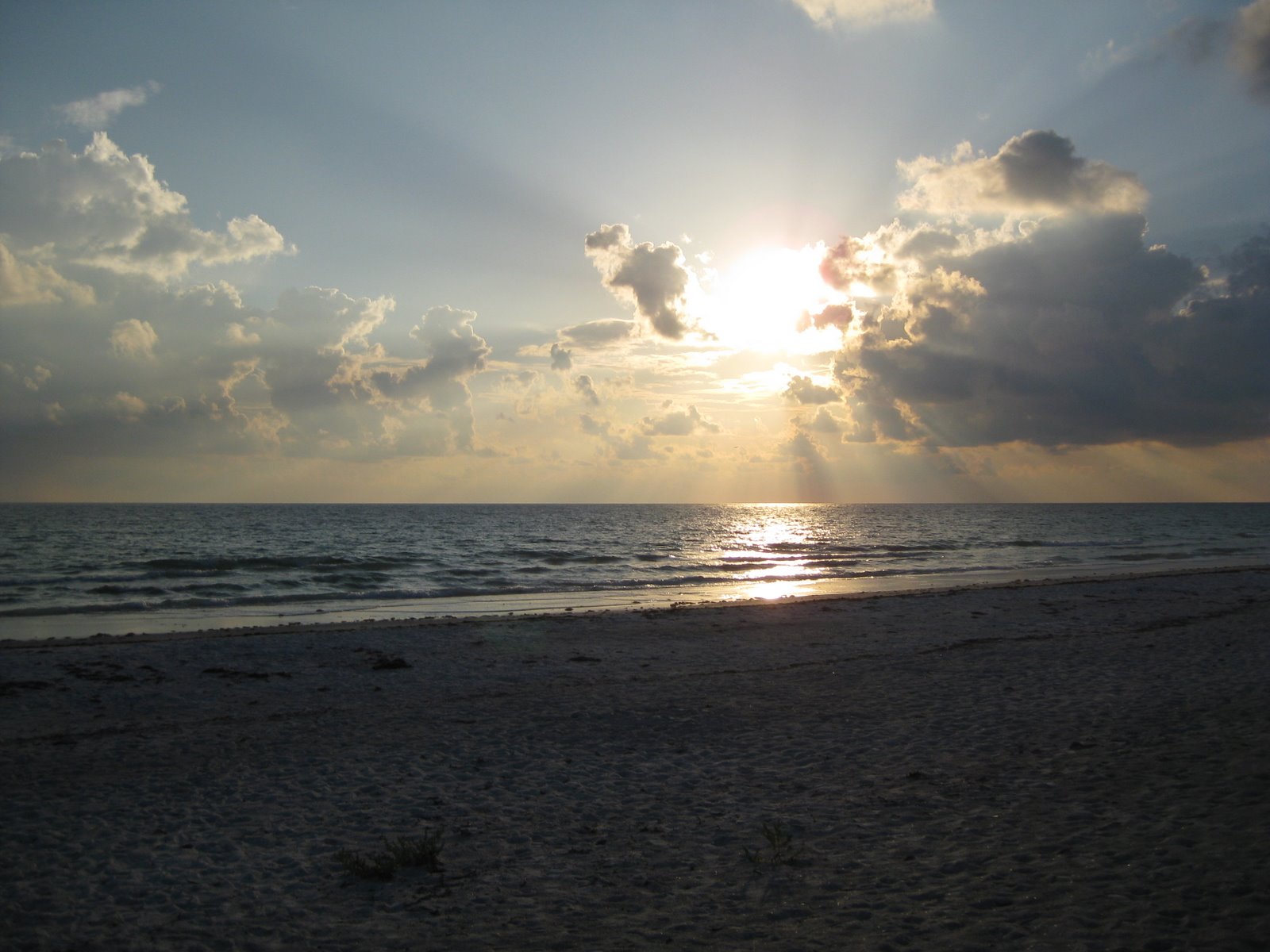 [IMG_0299.JPG]