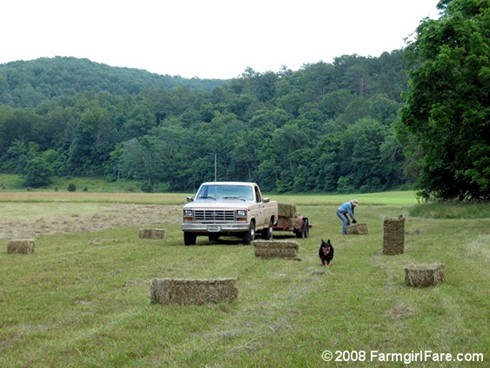 Hay Cutting