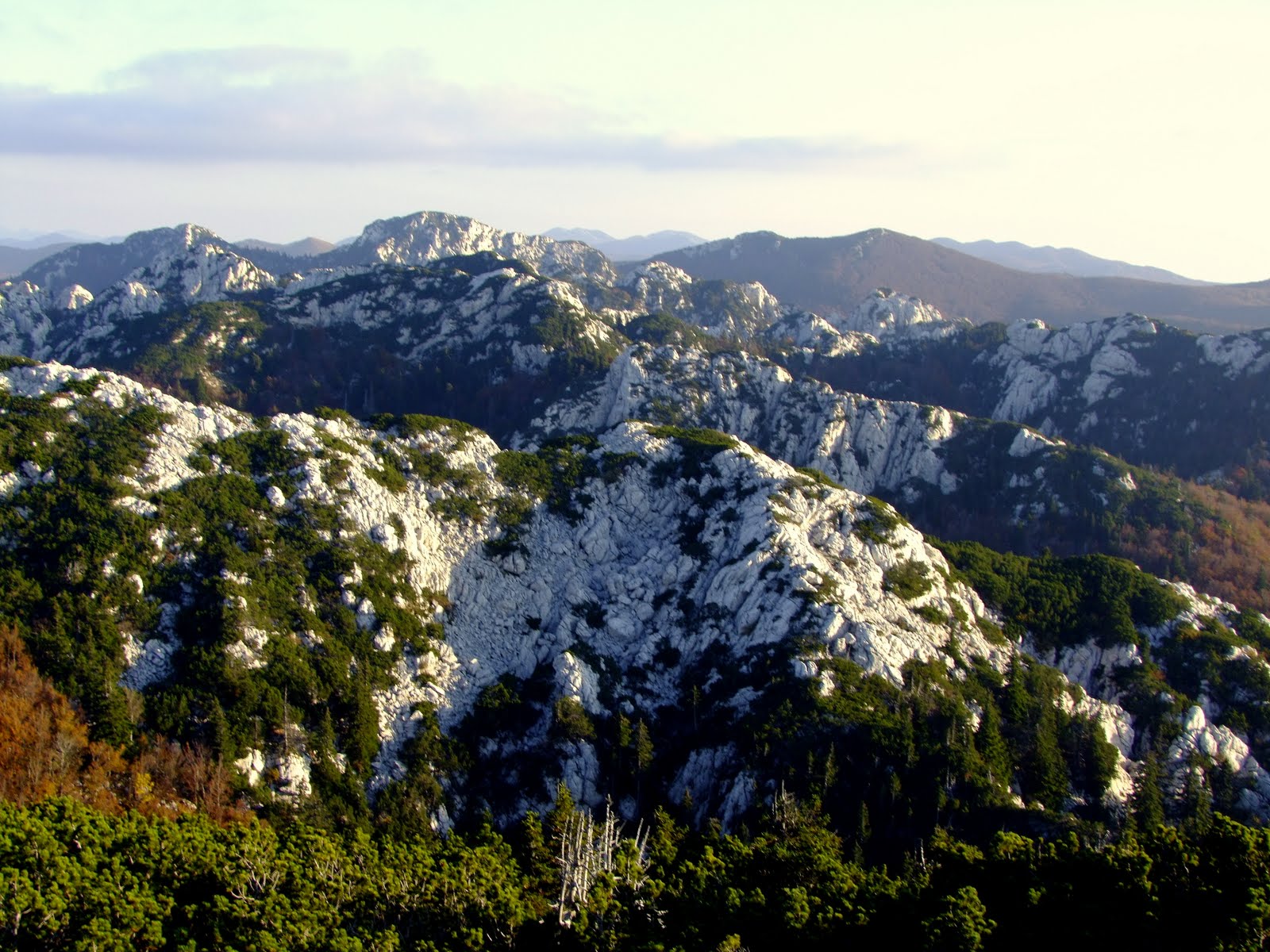 [DSCF7125-1.JPG]