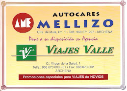 Autocares Mellizo