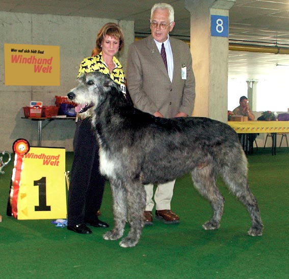 [Irish+Wolfhound.jpg]