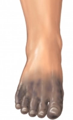 [getImage.aspx.jpeg]