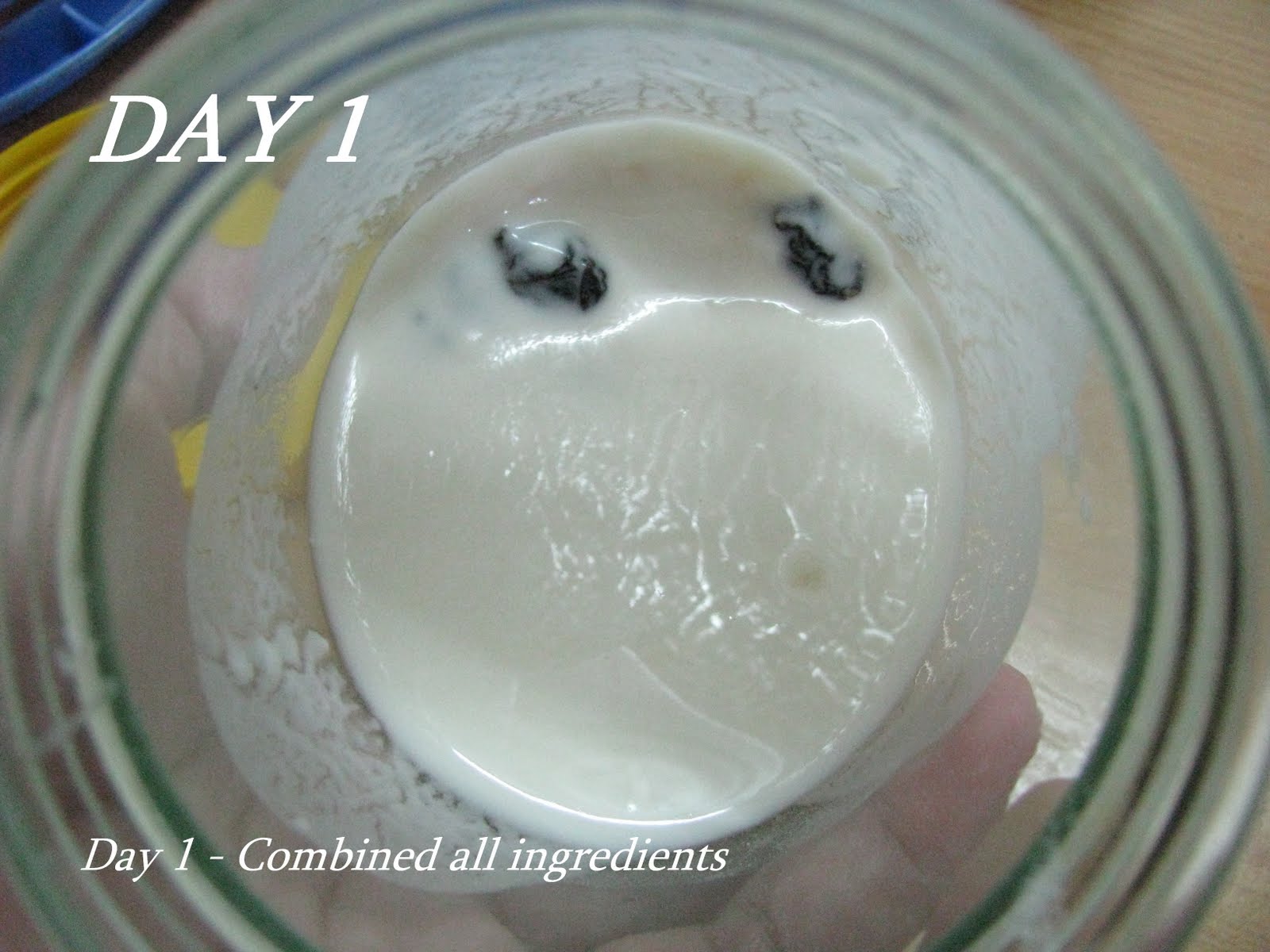 Homemade Leaven Wild Yeast