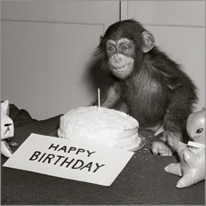 [Happy_Birthday_Chimp.jpg]