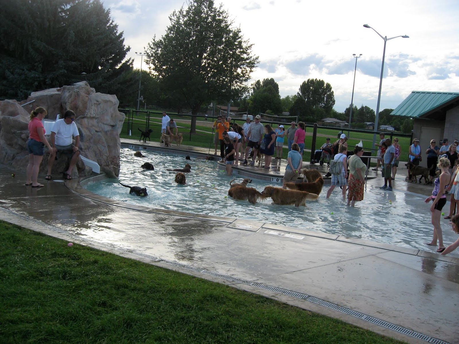 Observations about Longmont, Colorado Dog Day at Kanemoto Park Pool